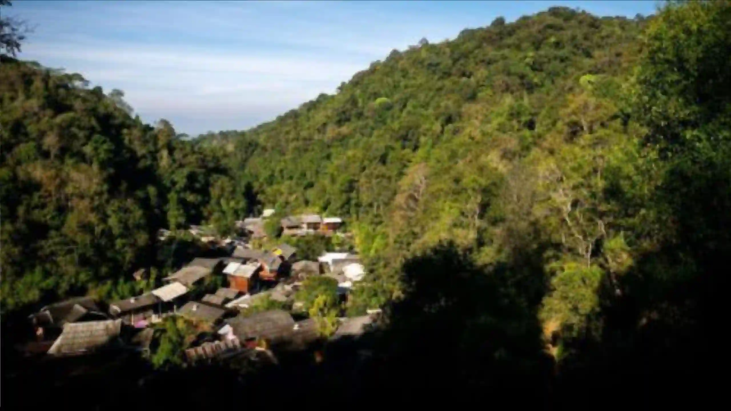 Temple in a forest with a river 