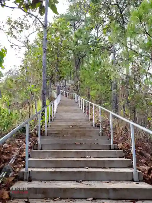 Temple in a forest with a river 