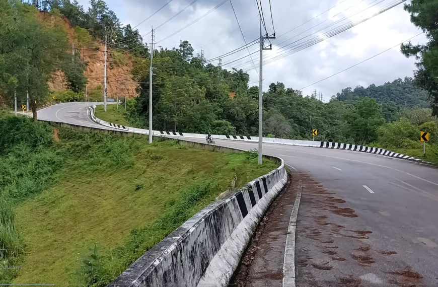 1095 Road to Pai