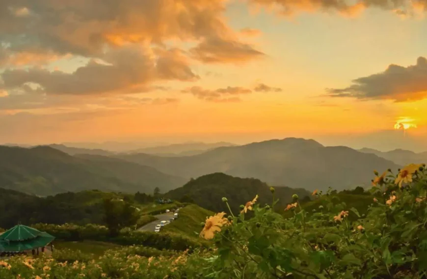 Bua-Tong-Doi-Mae-U-Kho