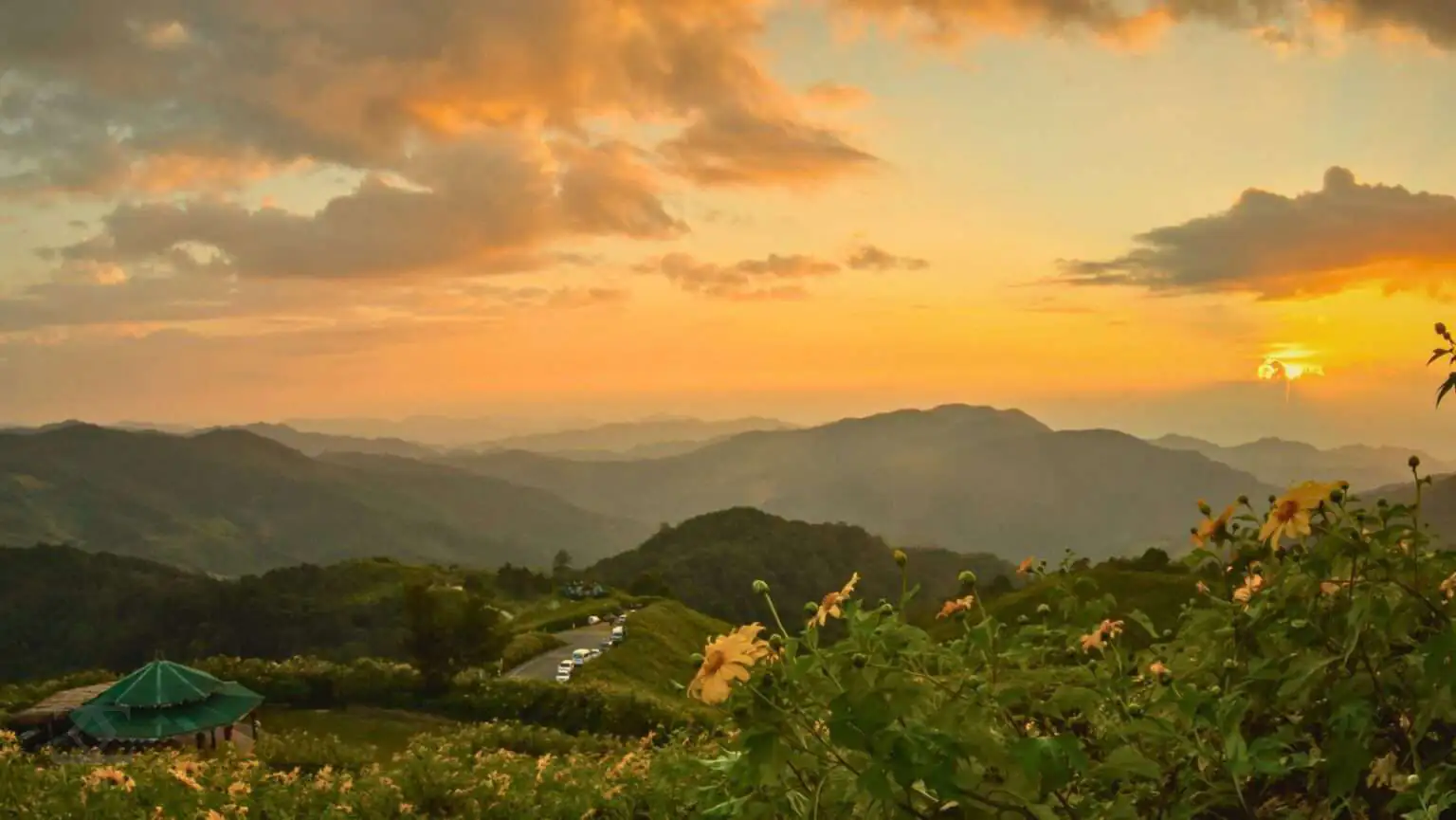 Bua-Tong-Doi-Mae-U-Kho