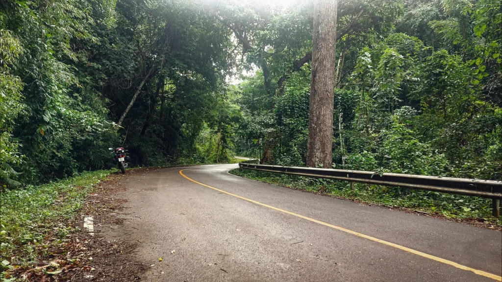 Chiang Dao Road