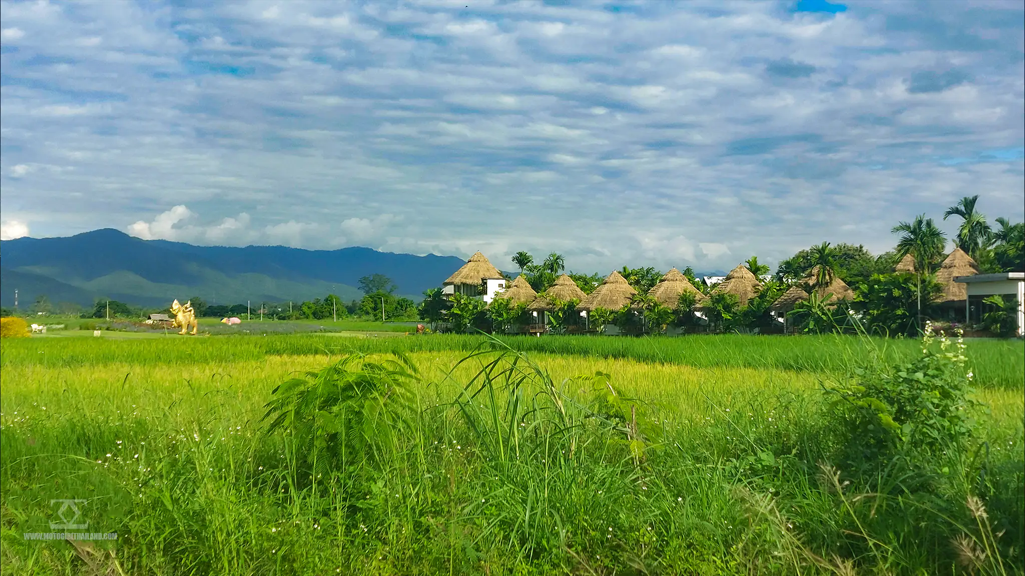 Phusanfah Resort