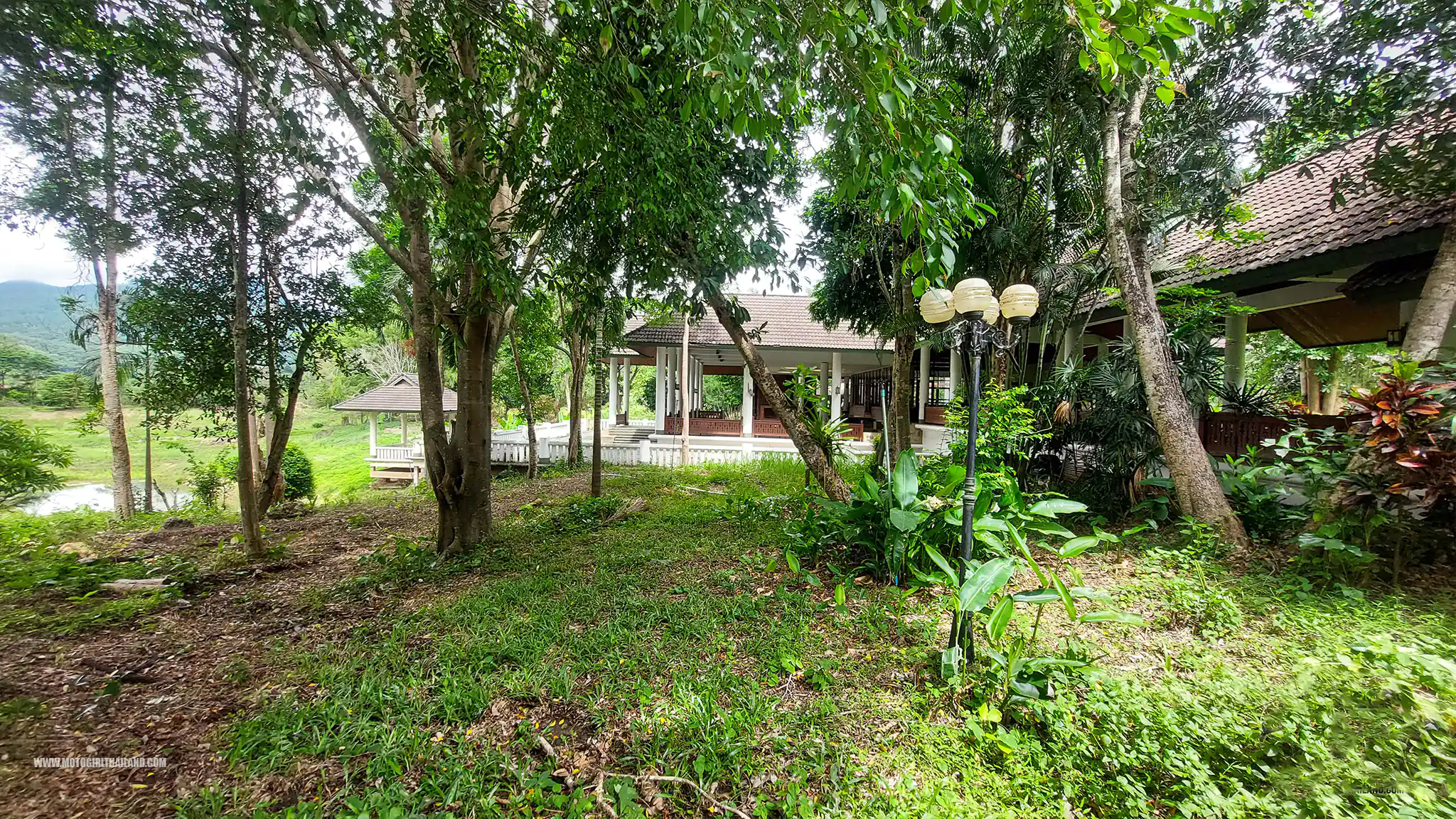 Temple in a forest with a river