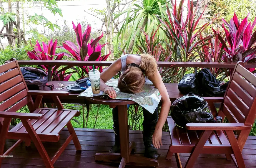 Adventure Bailed Tired Coffee Cafe