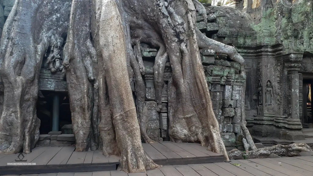 Angkor Wat Complex Siem Reap Cambodia