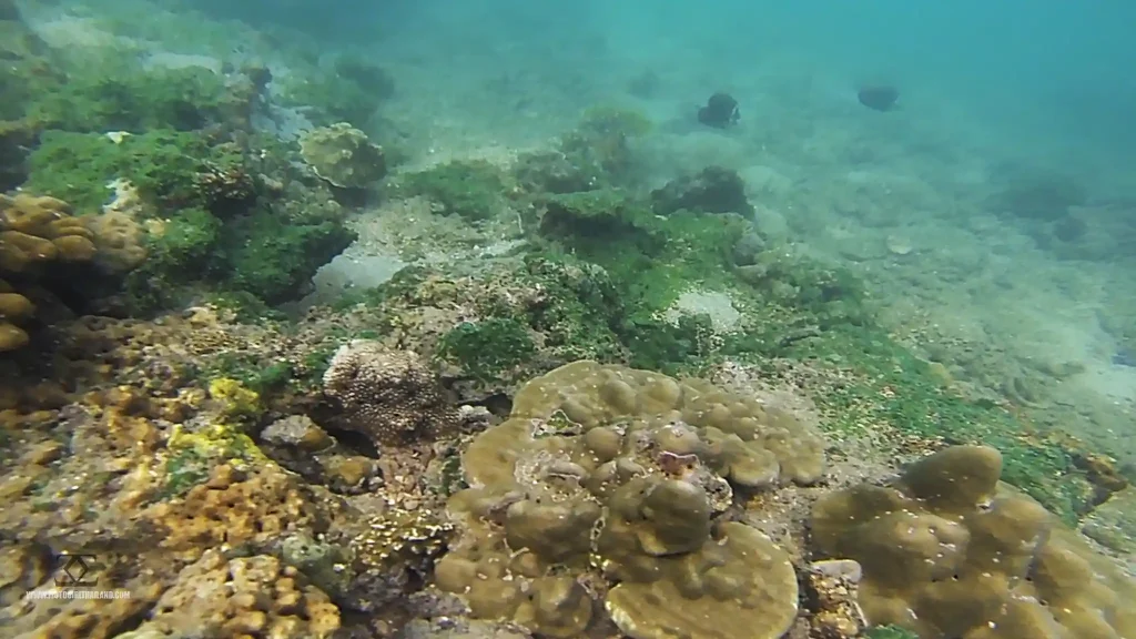 Ao Nang