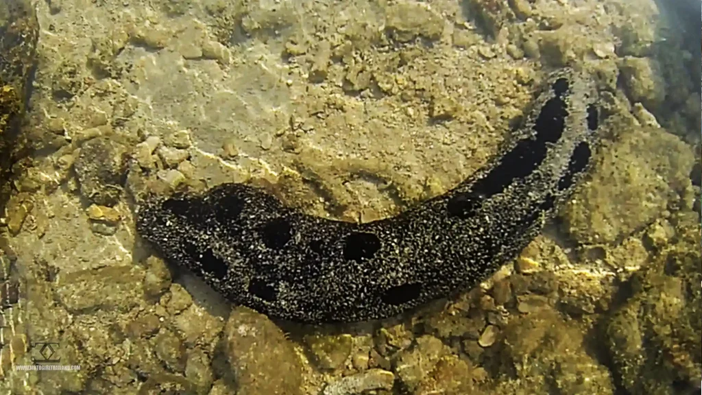 Ao Nang