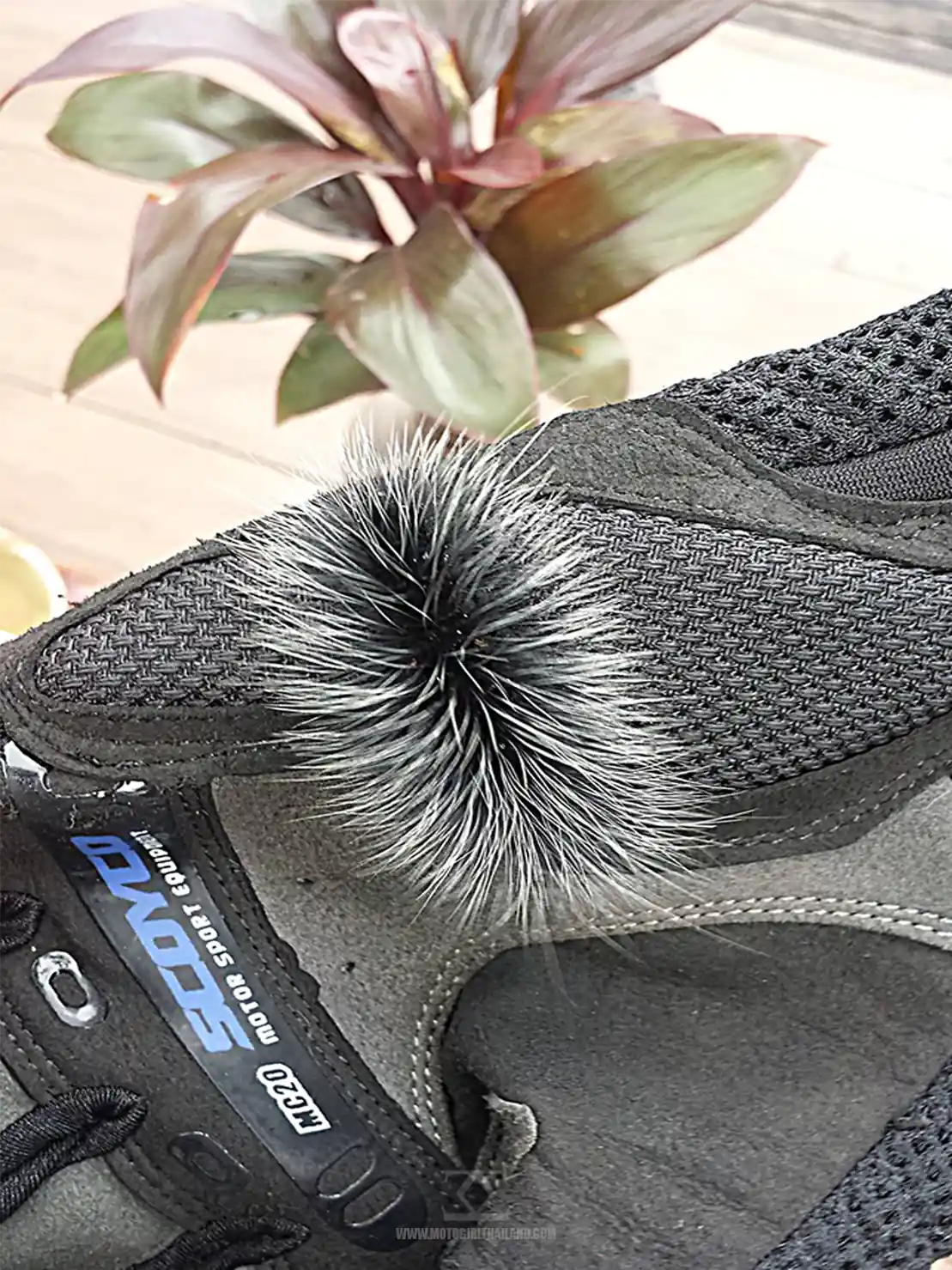 Nature Caterpillar on Glove