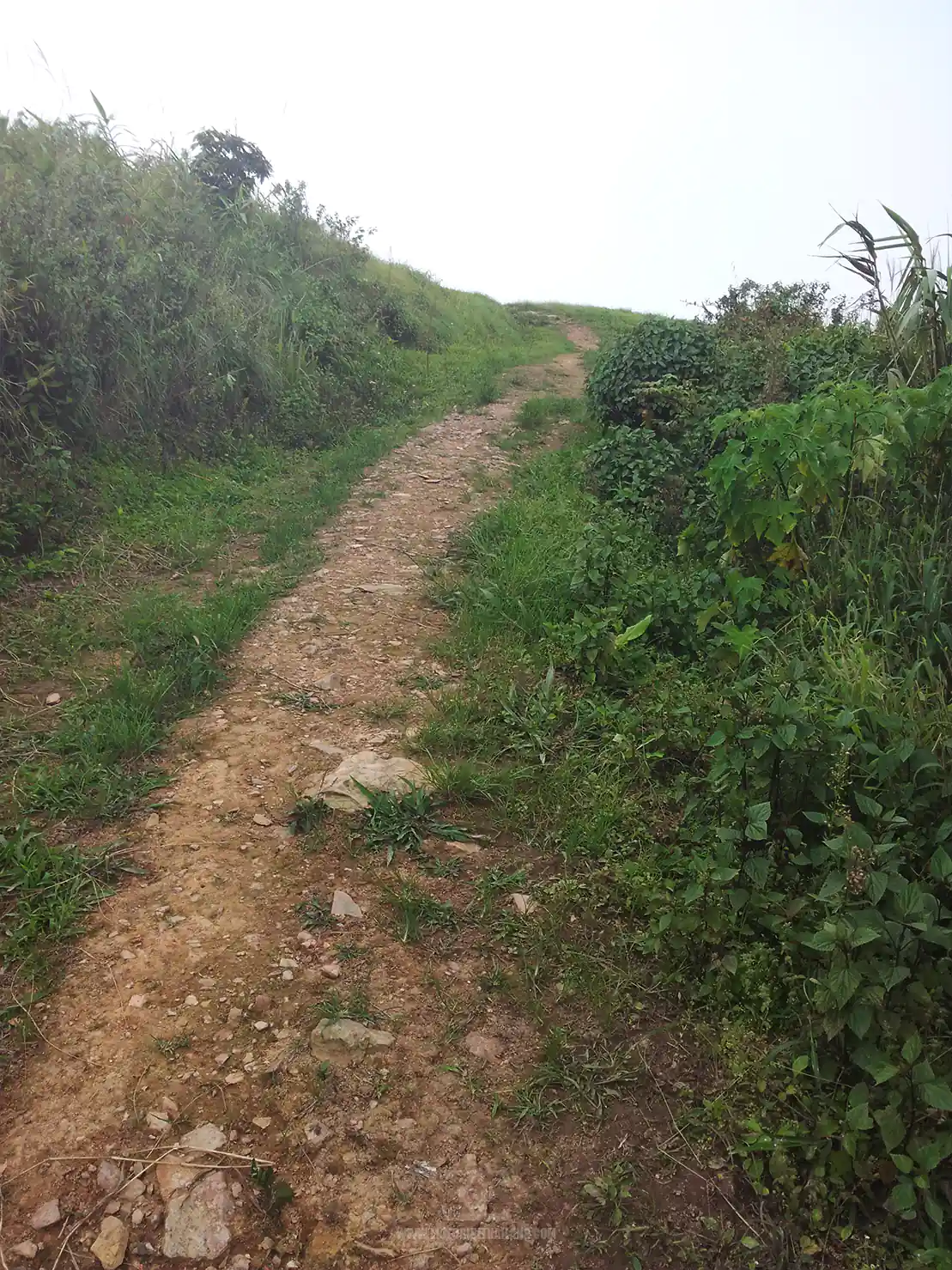 Big Border Ride Road