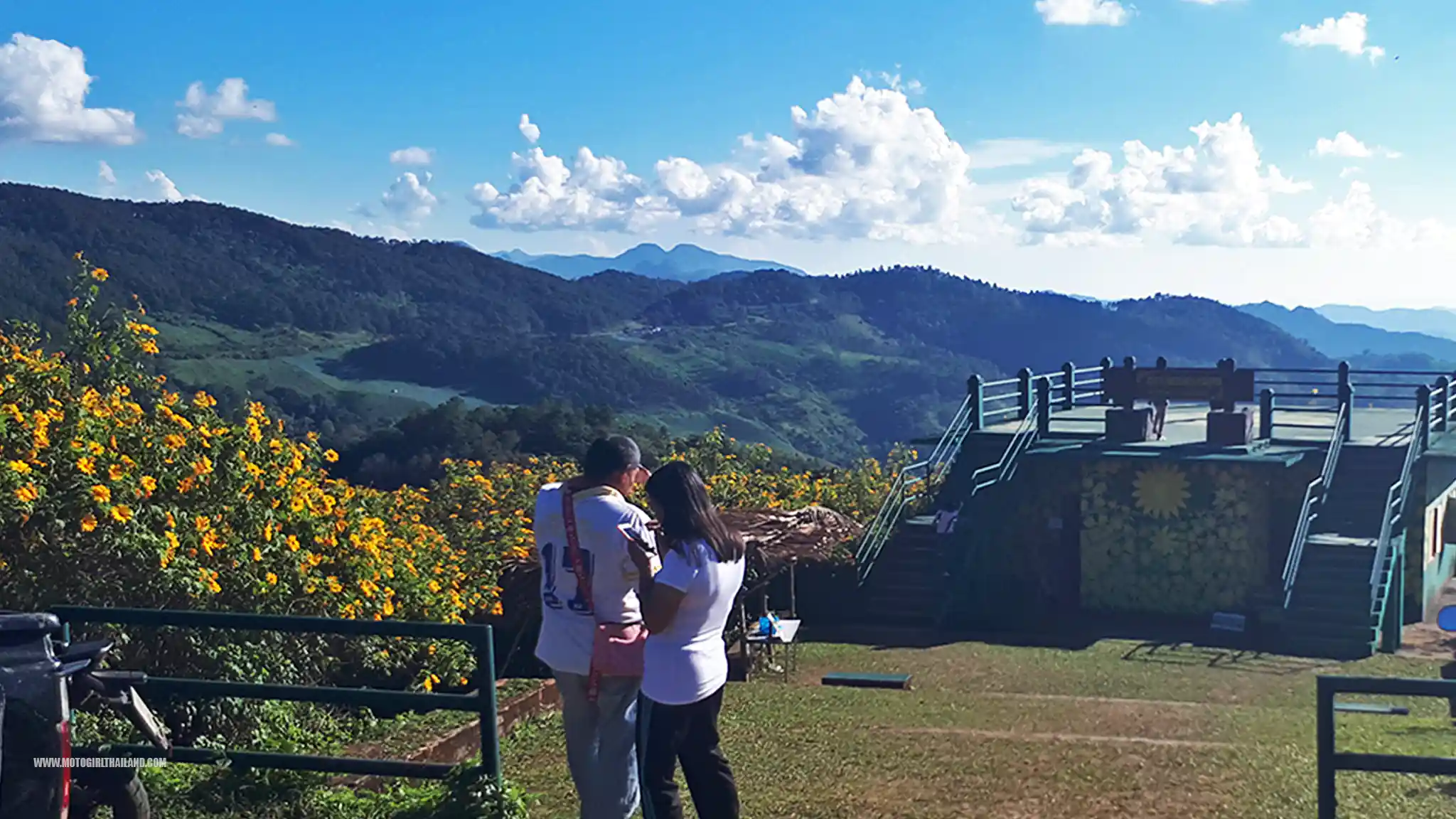 Bua Tong Doi Mae U Kho Sunflowers
