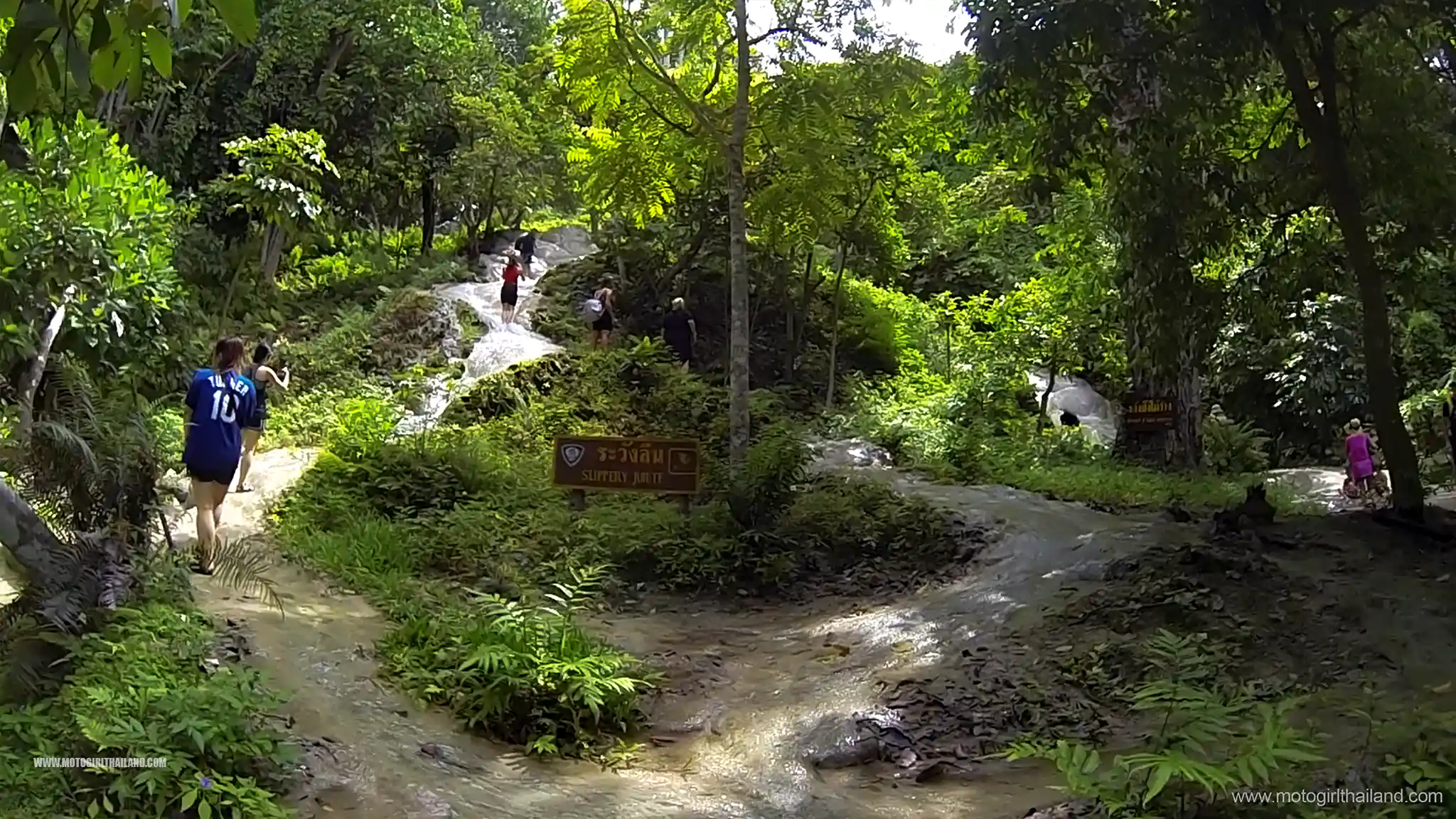 Bua Tong Sticky Waterfalls