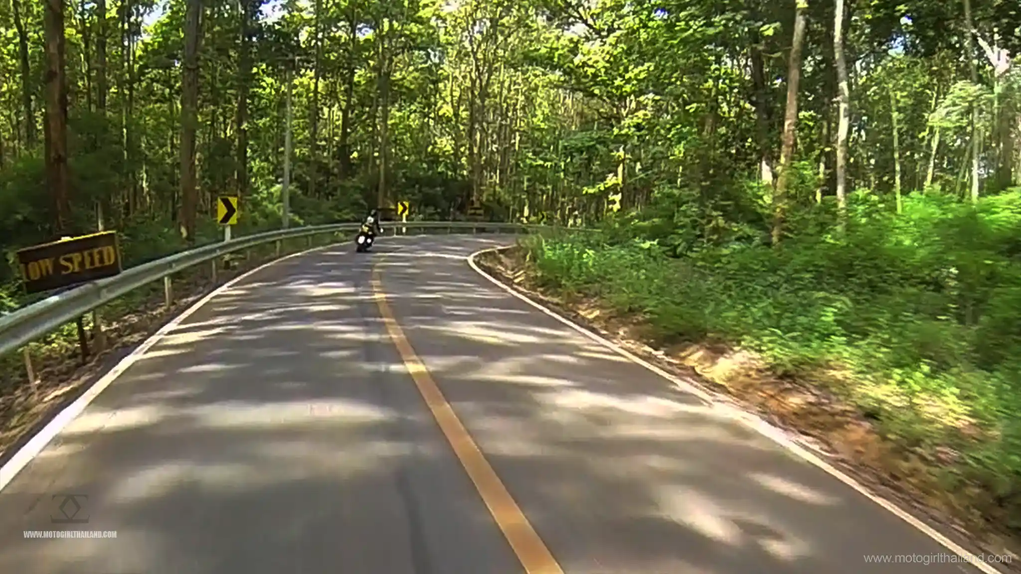 Bua Tong Sticky Waterfalls Ride