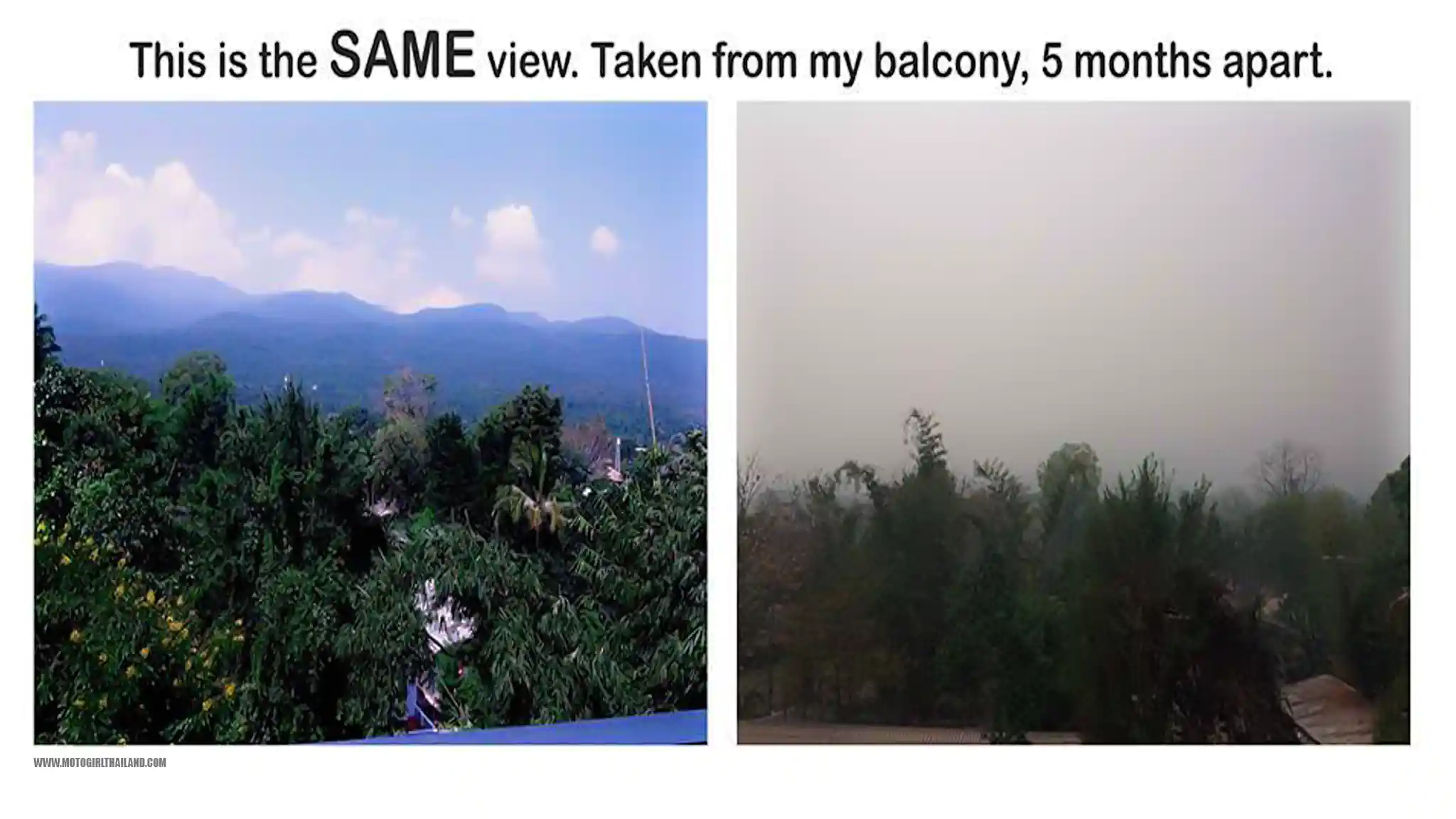 Burning Season