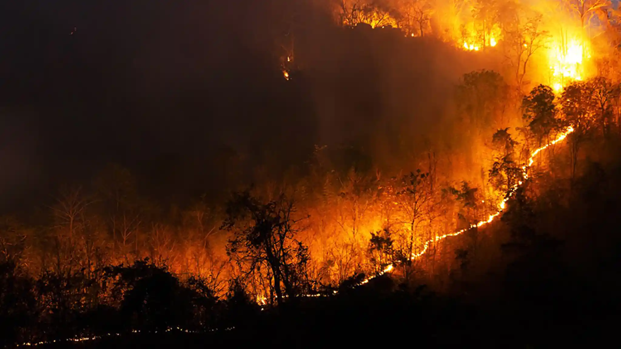Burning Season