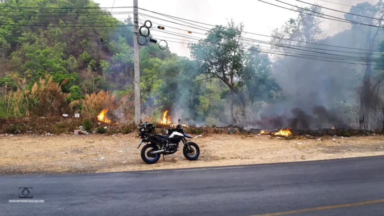 Burning Season Roadside Fire