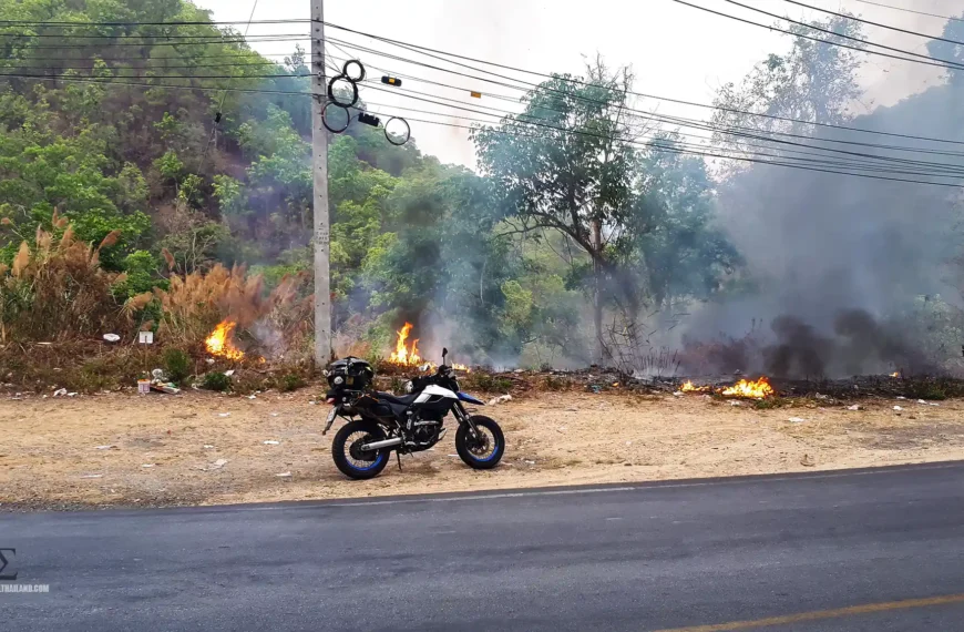 Burning Season Roadside Fire