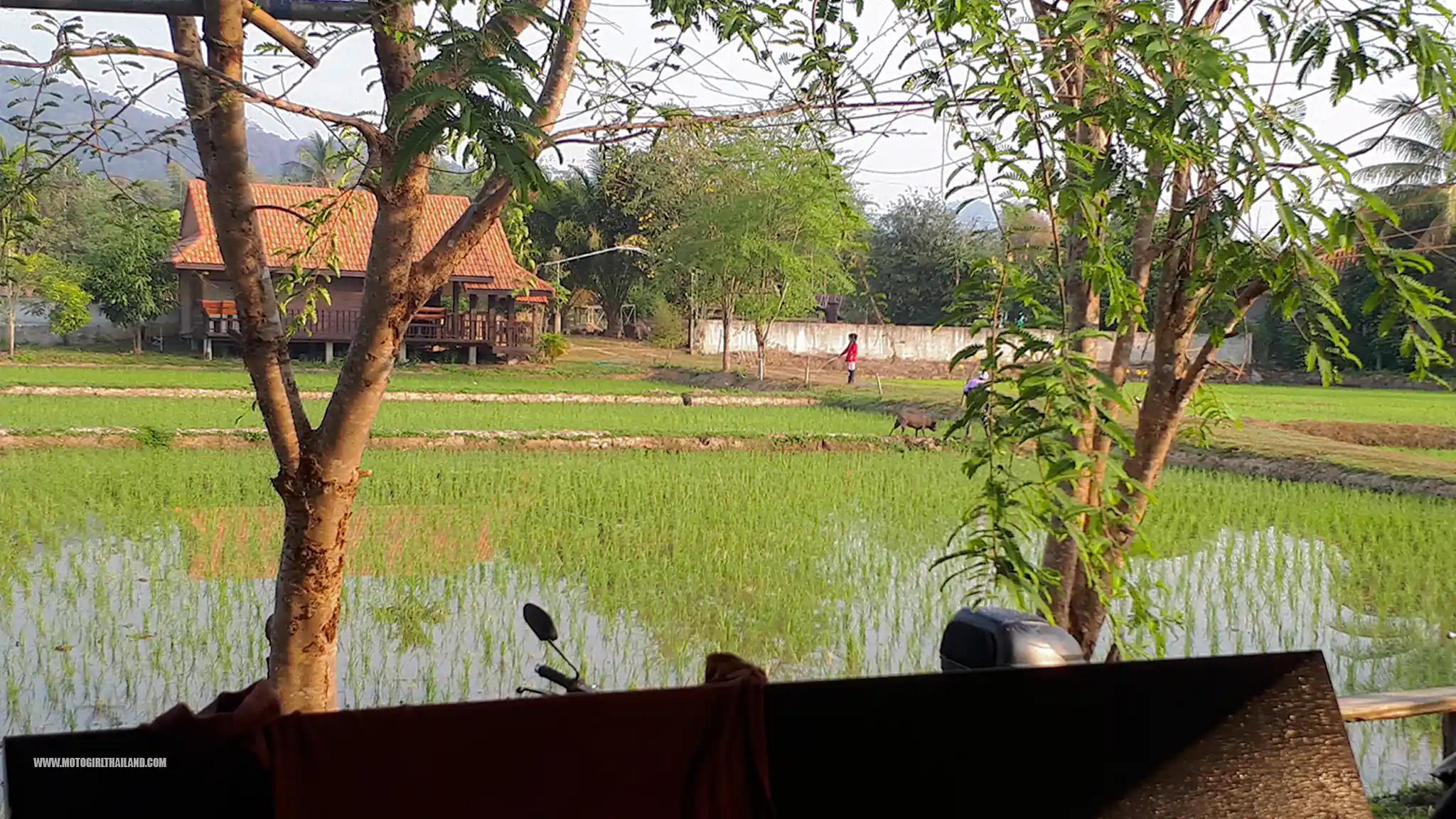 Chiang Rai Singha Park Accommodation Guesthouse