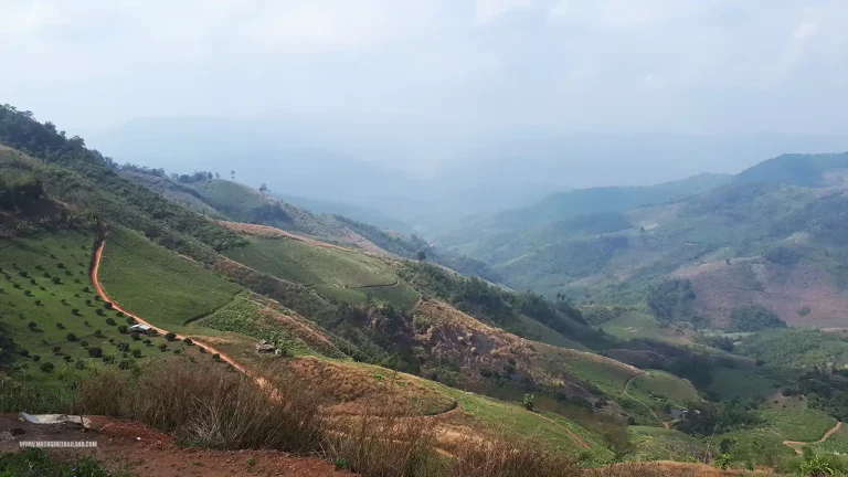 Doi Chaang Doi Wawee
