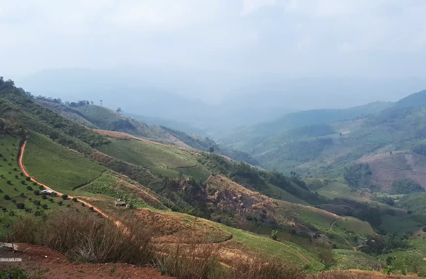 Doi Chaang Doi Wawee