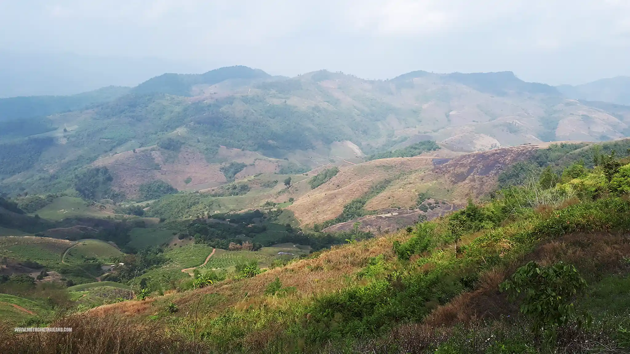Doi Chaang Doi Wawee