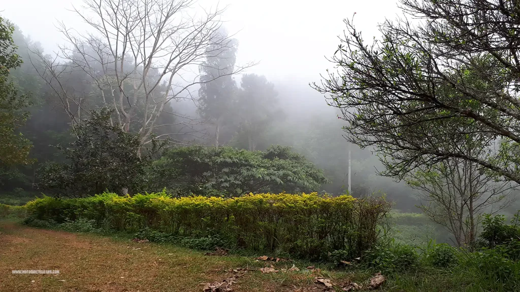Doi Chaang Doi Wawee