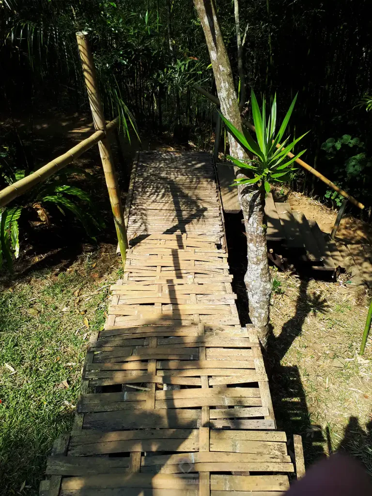Doi Chaang Memorial Park