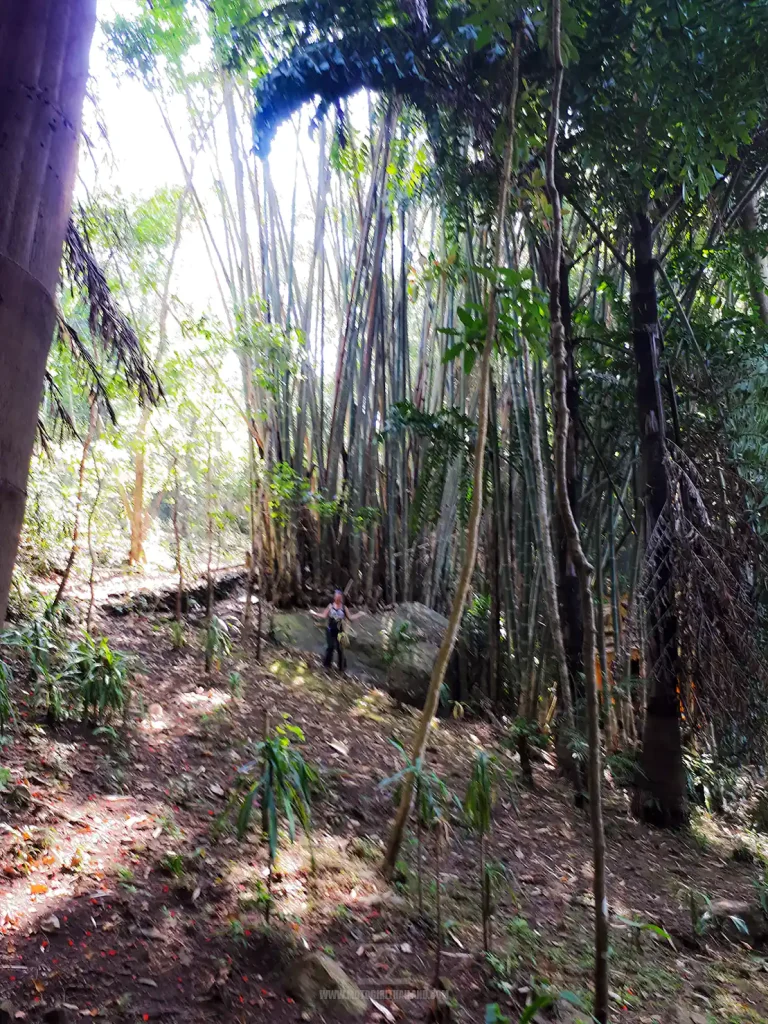 Doi Chaang Memorial Park