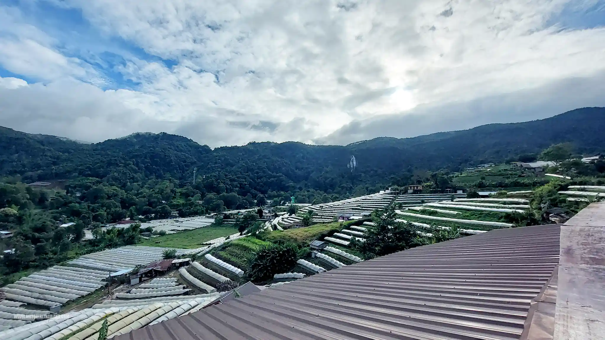Big Buddha