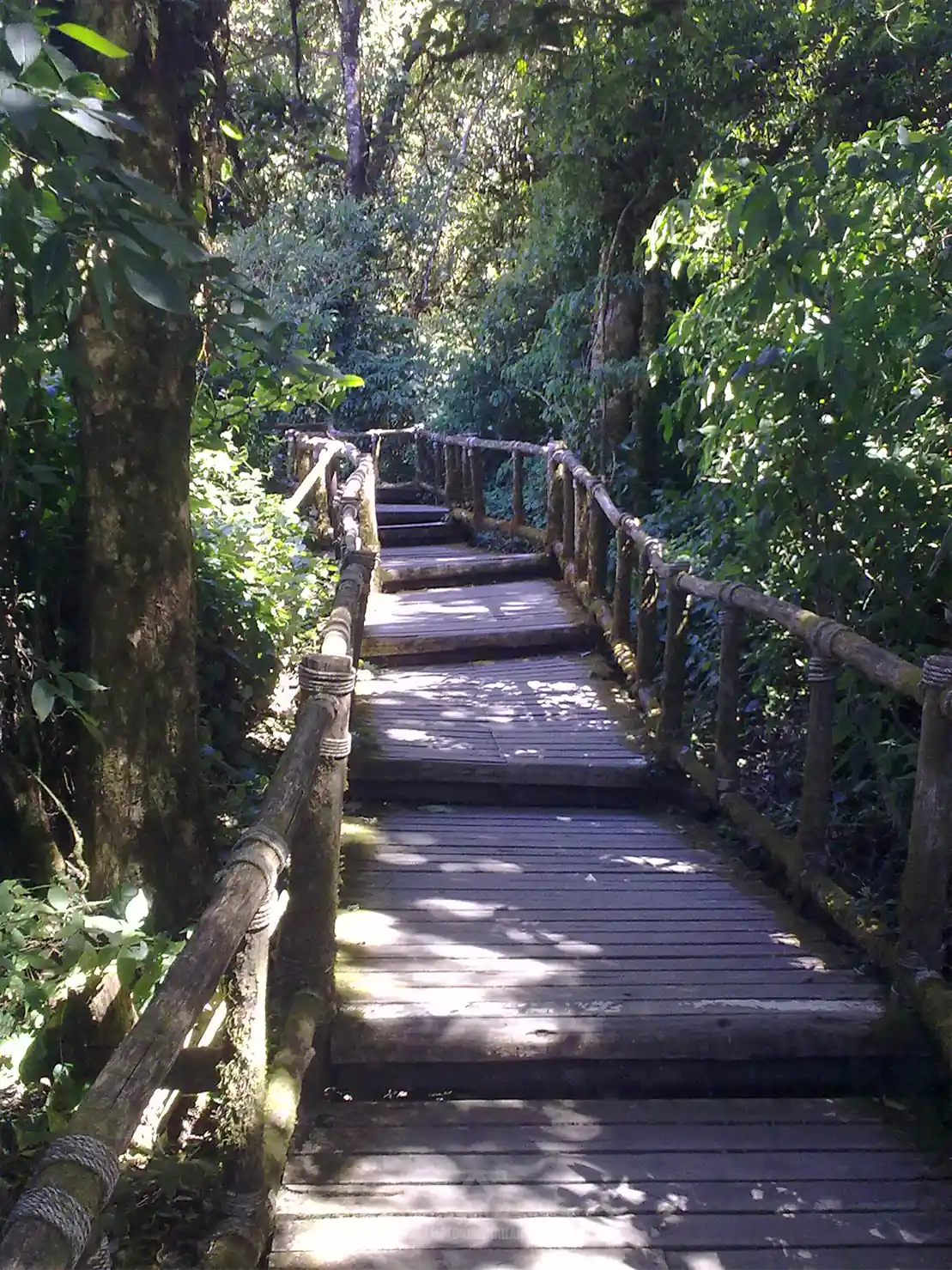 Doi Inthanon Scooter