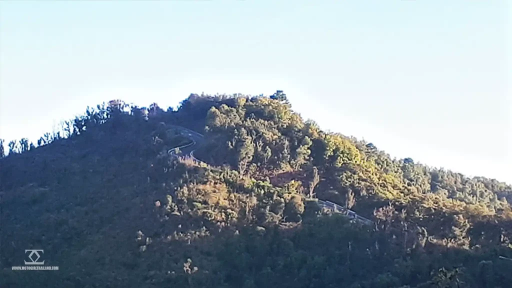 Doi Mae Salong