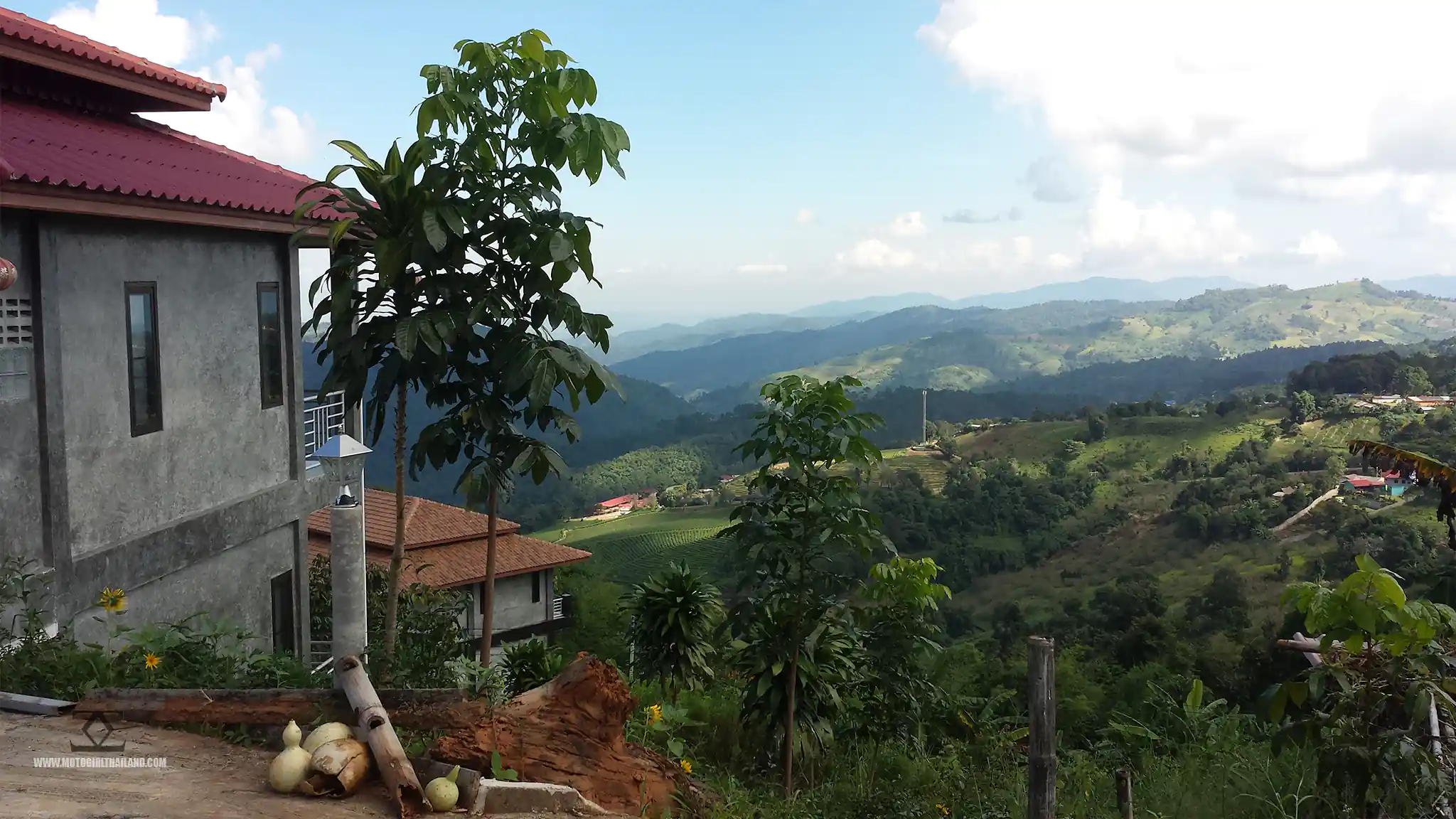 Doi Mae Salong Guesthouse