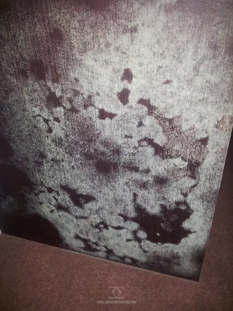 Doi Mae Salong Hotel Room Mold