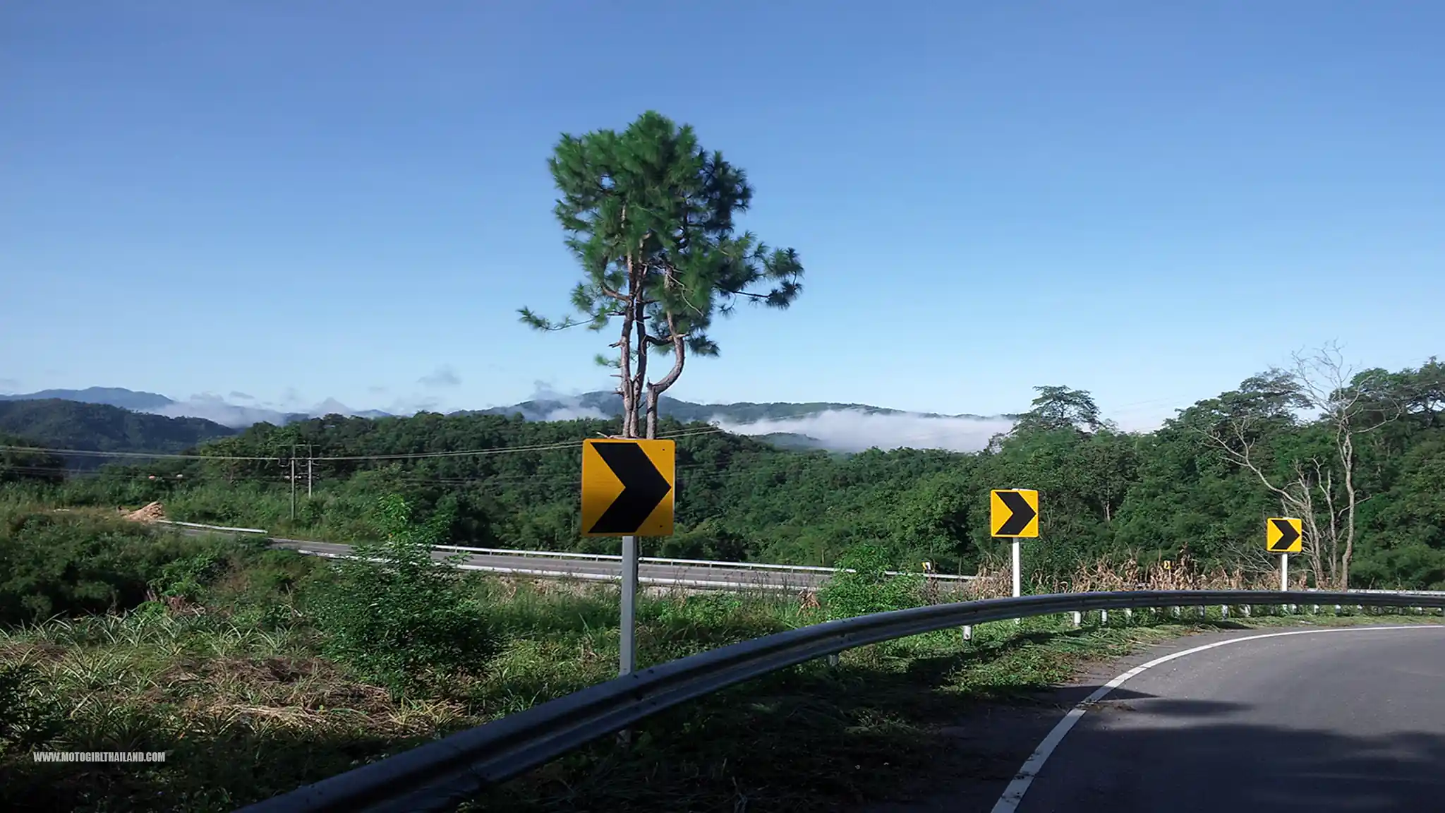 Doi Mae Salong Temple Road