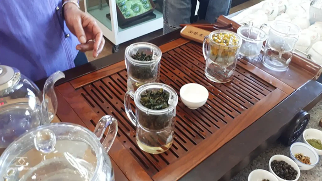 Doi Mae Salong Tea Plantation