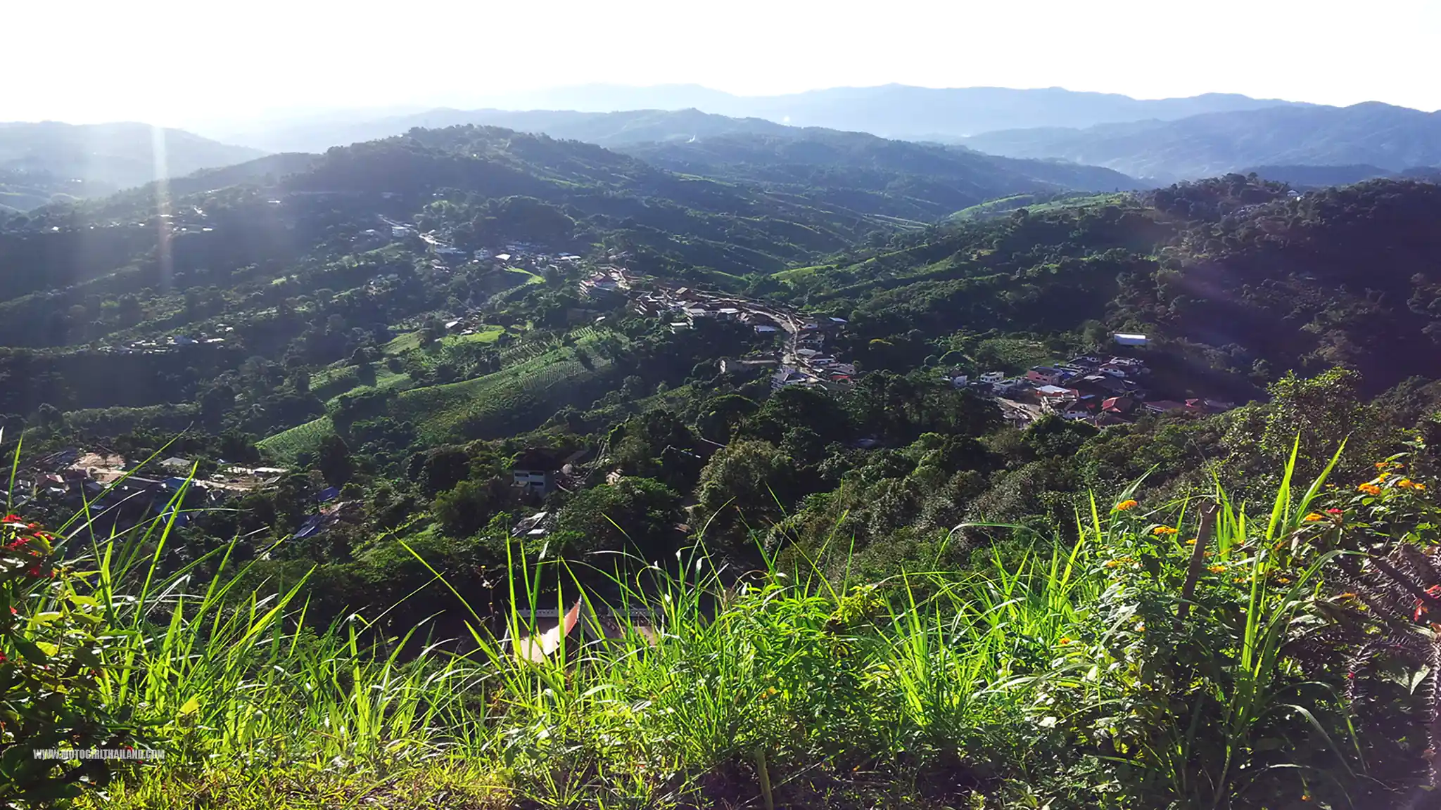 Doi Mae Salong Temple View