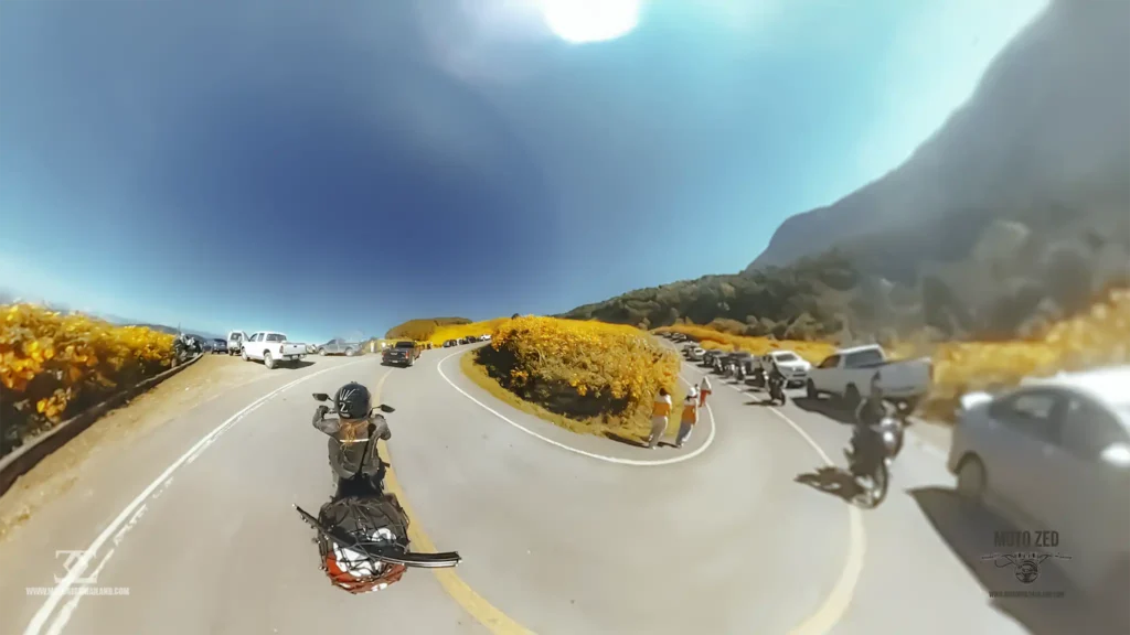 Doi Mae U Kho Bua Tong Sunflowers