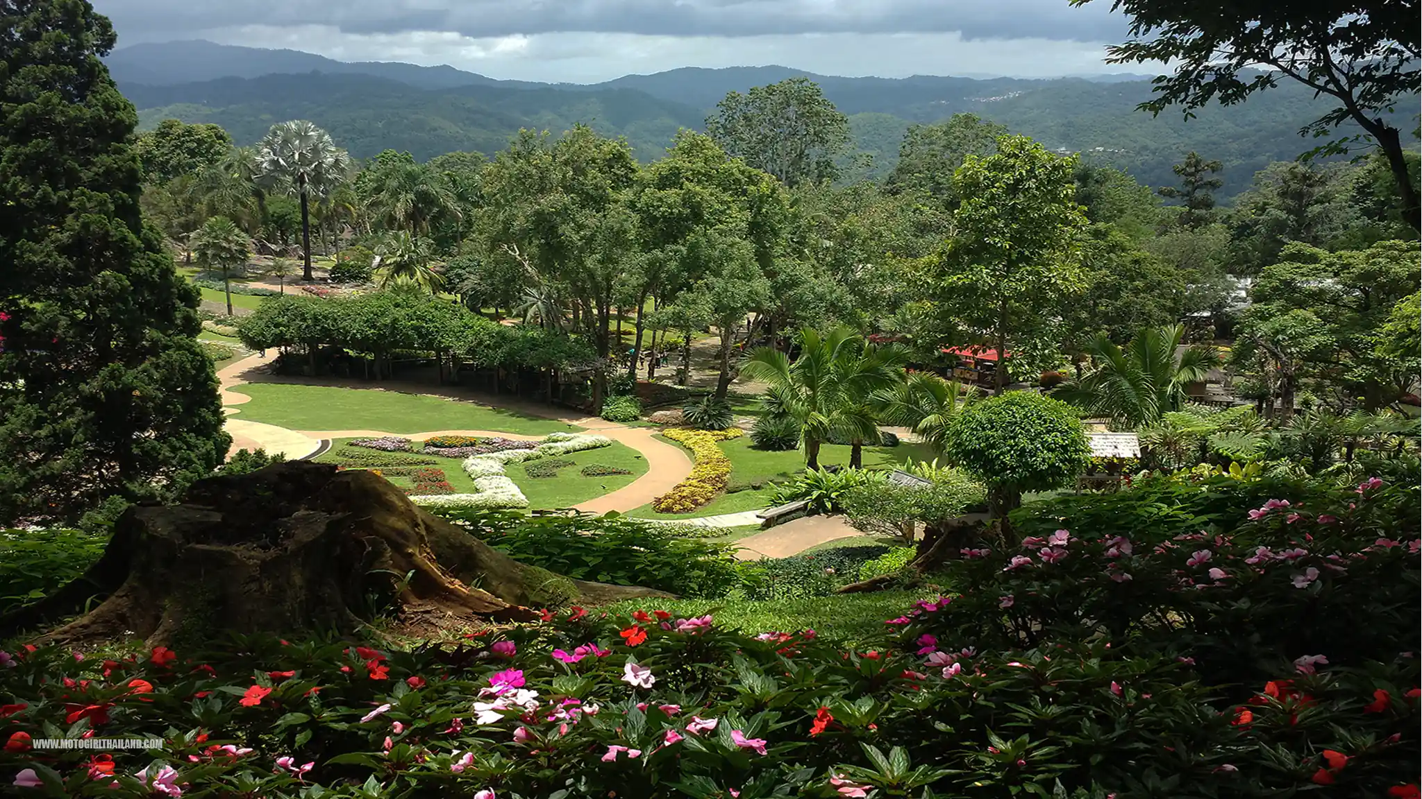 Doi Tung