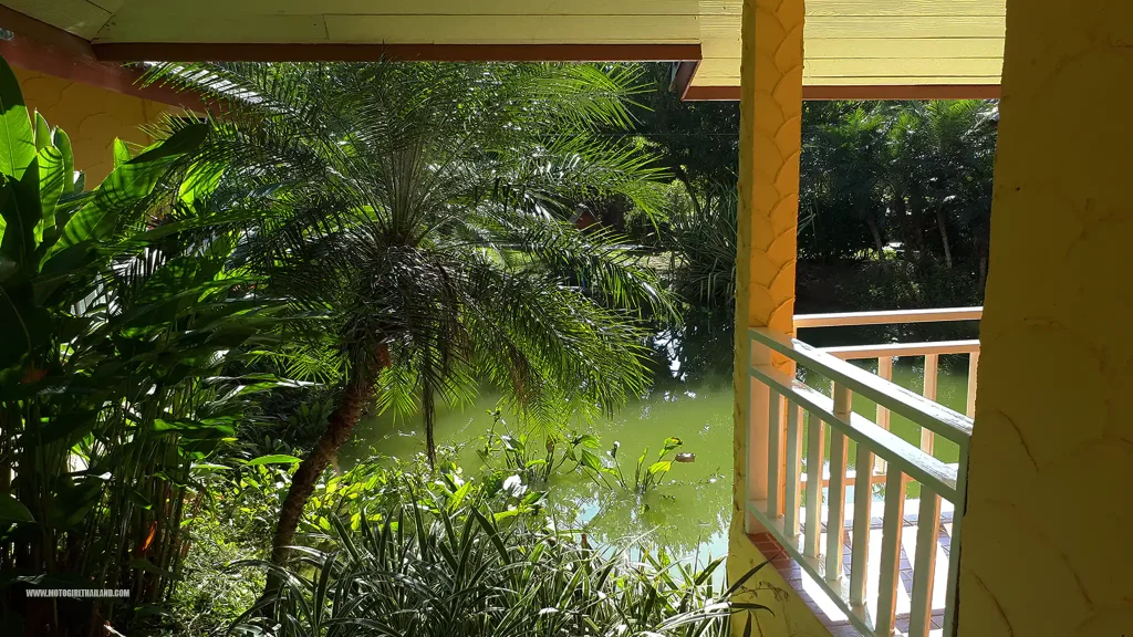 Doi Tung Hotel