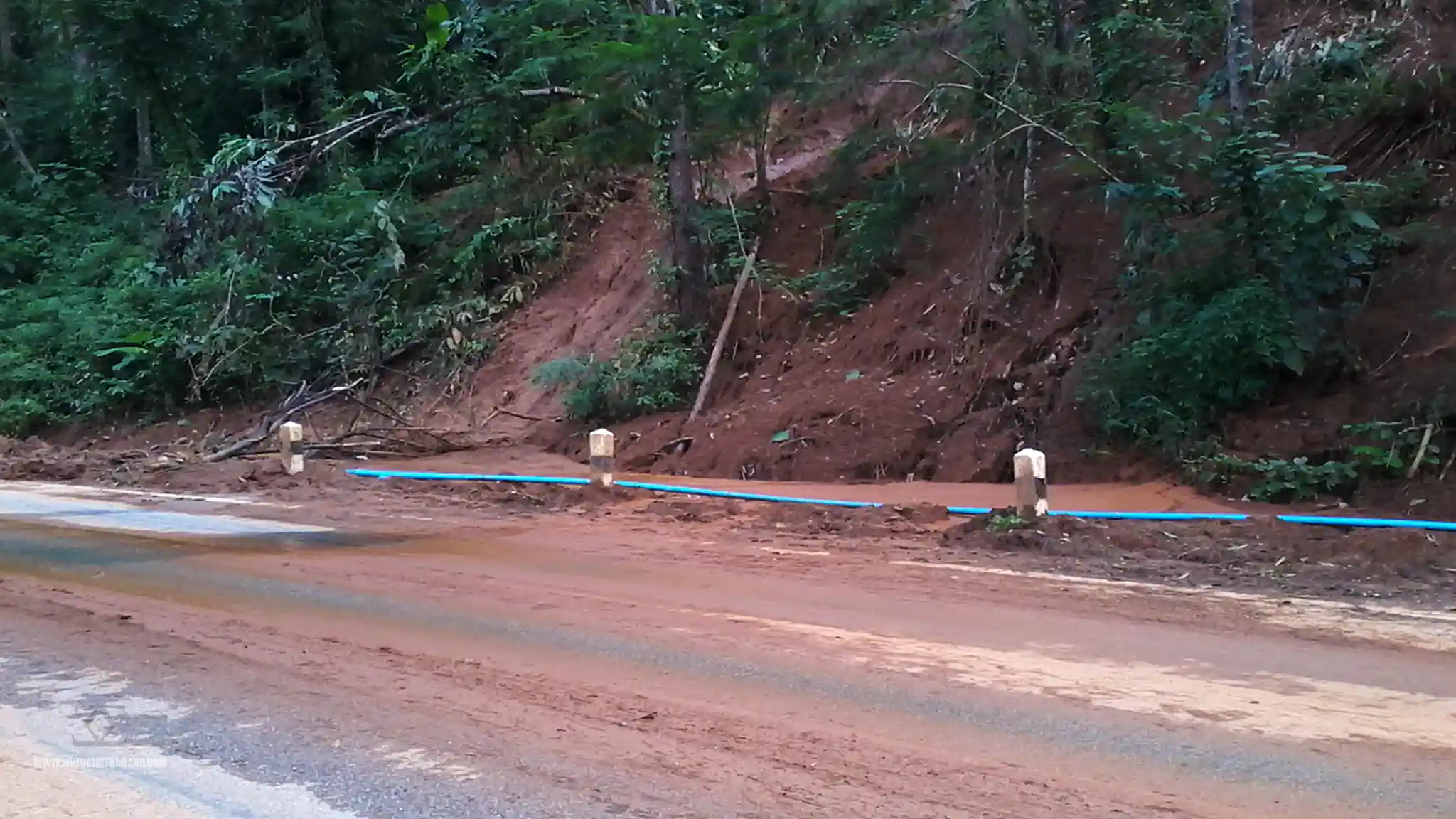 Doi Tung Road