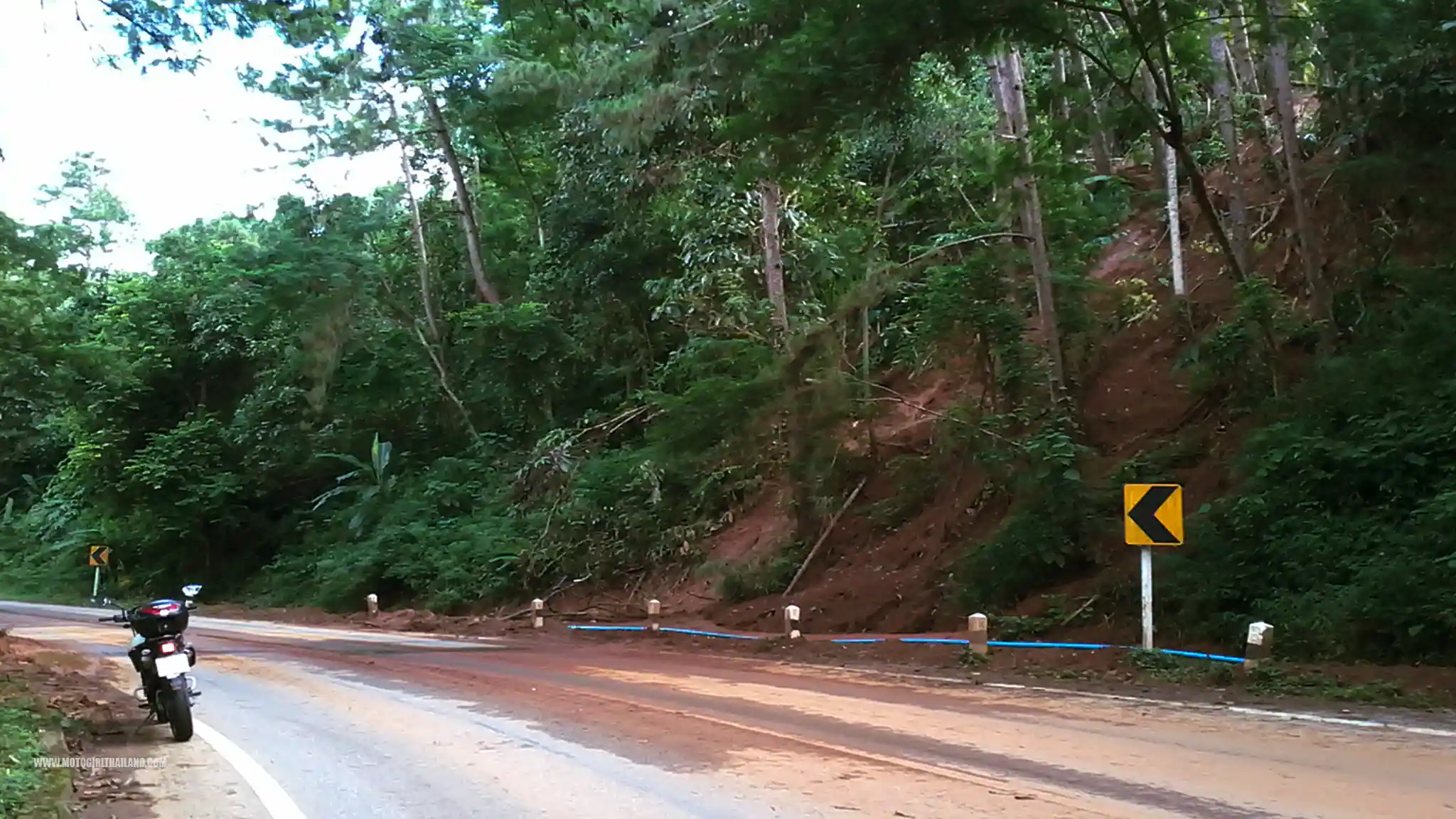Doi Tung Road