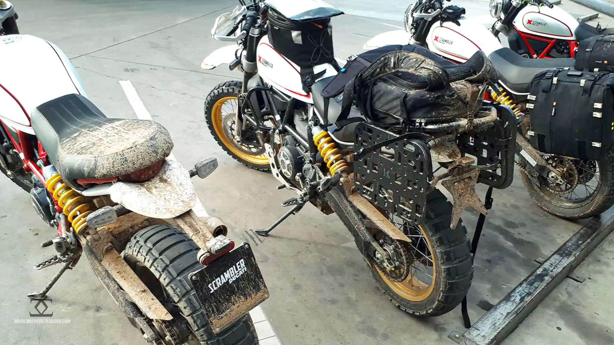 Ducati Desert Sled Cafe Amazon