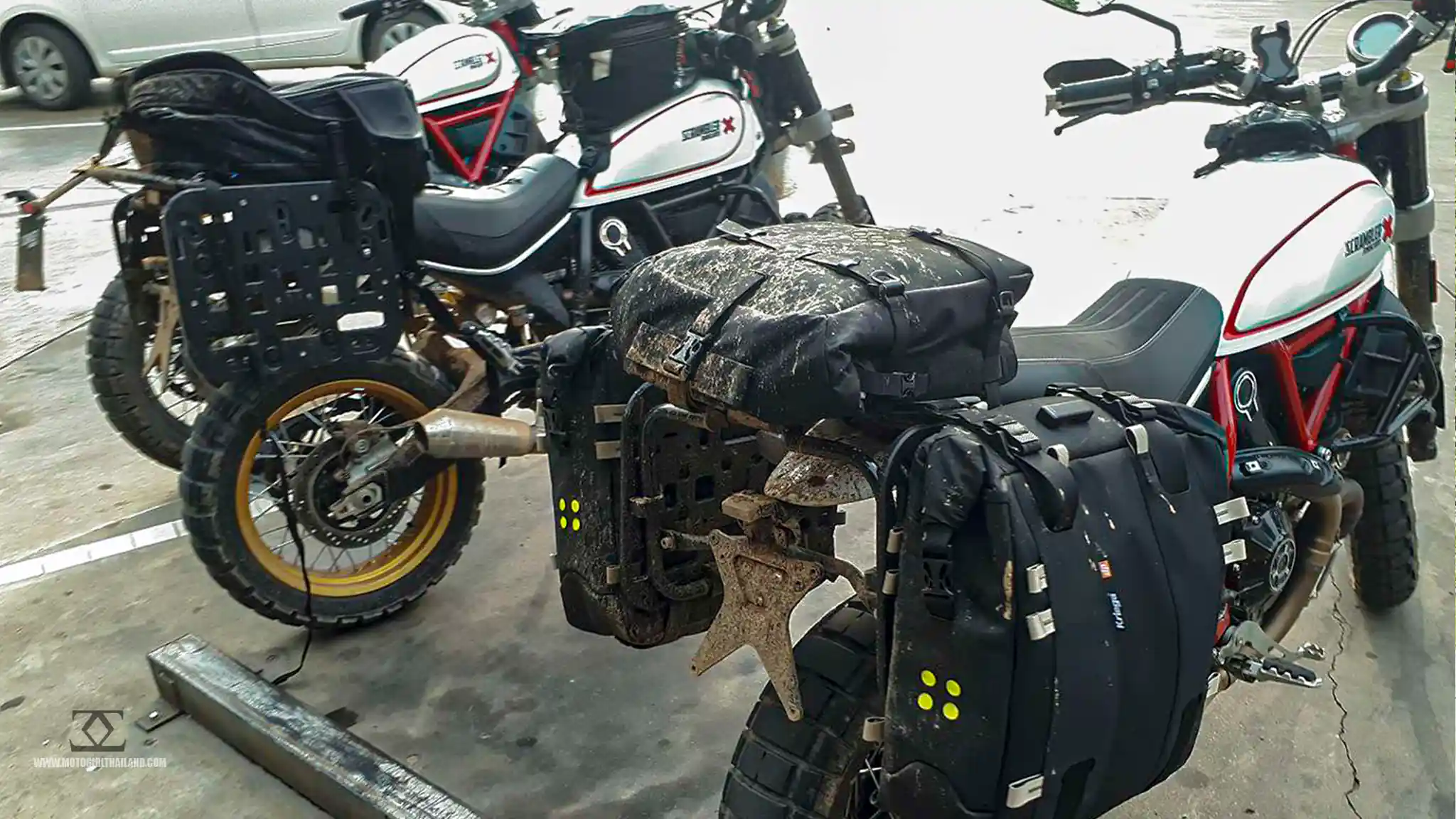 Ducati Desert Sled Cafe Amazon