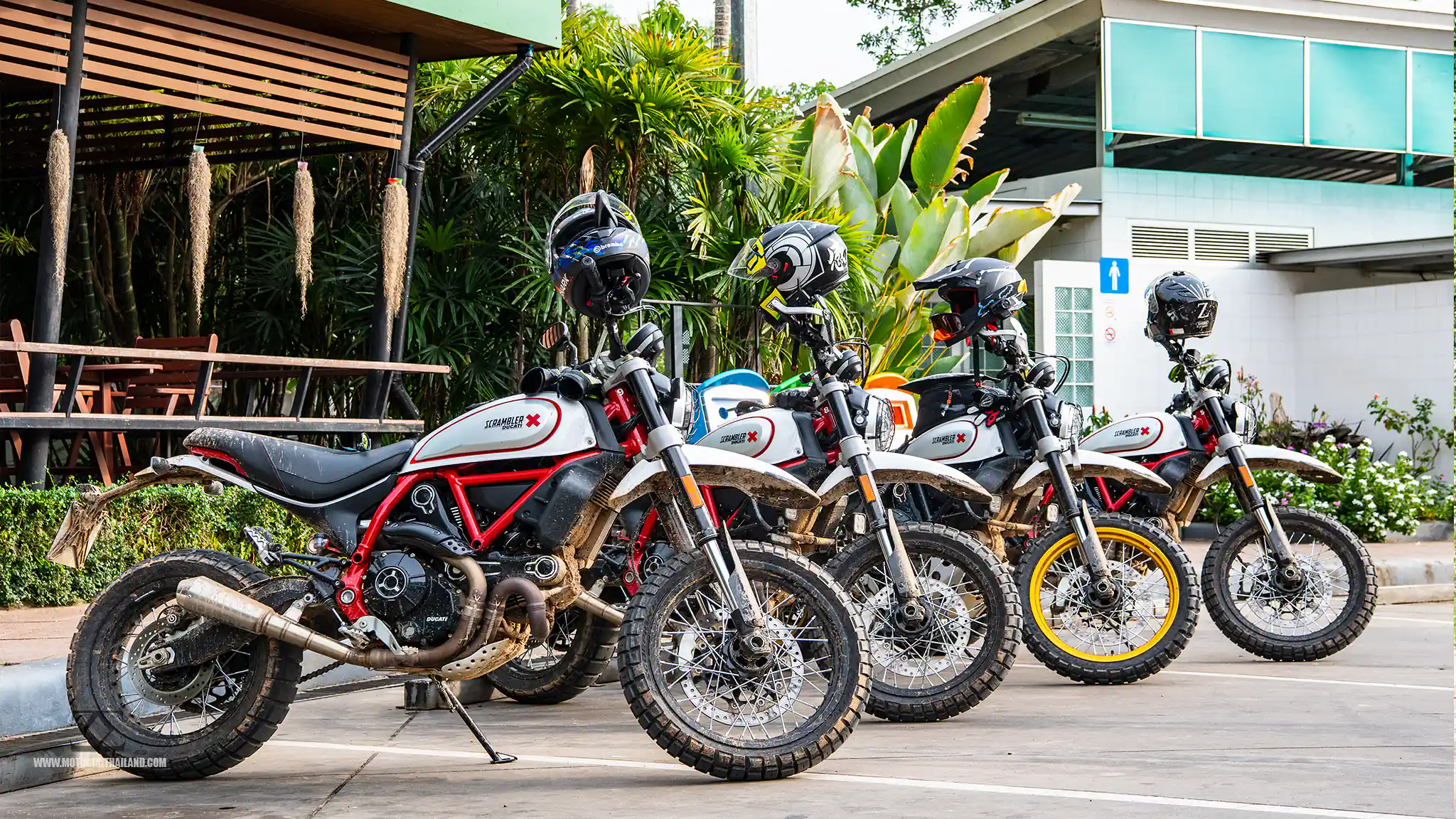 Ducati Desert Sleds