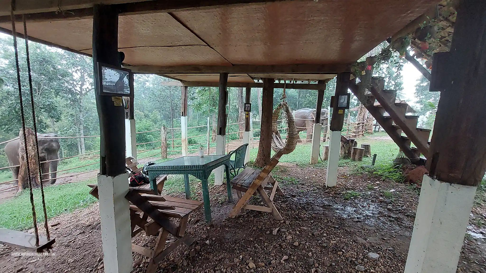 Forest Temple