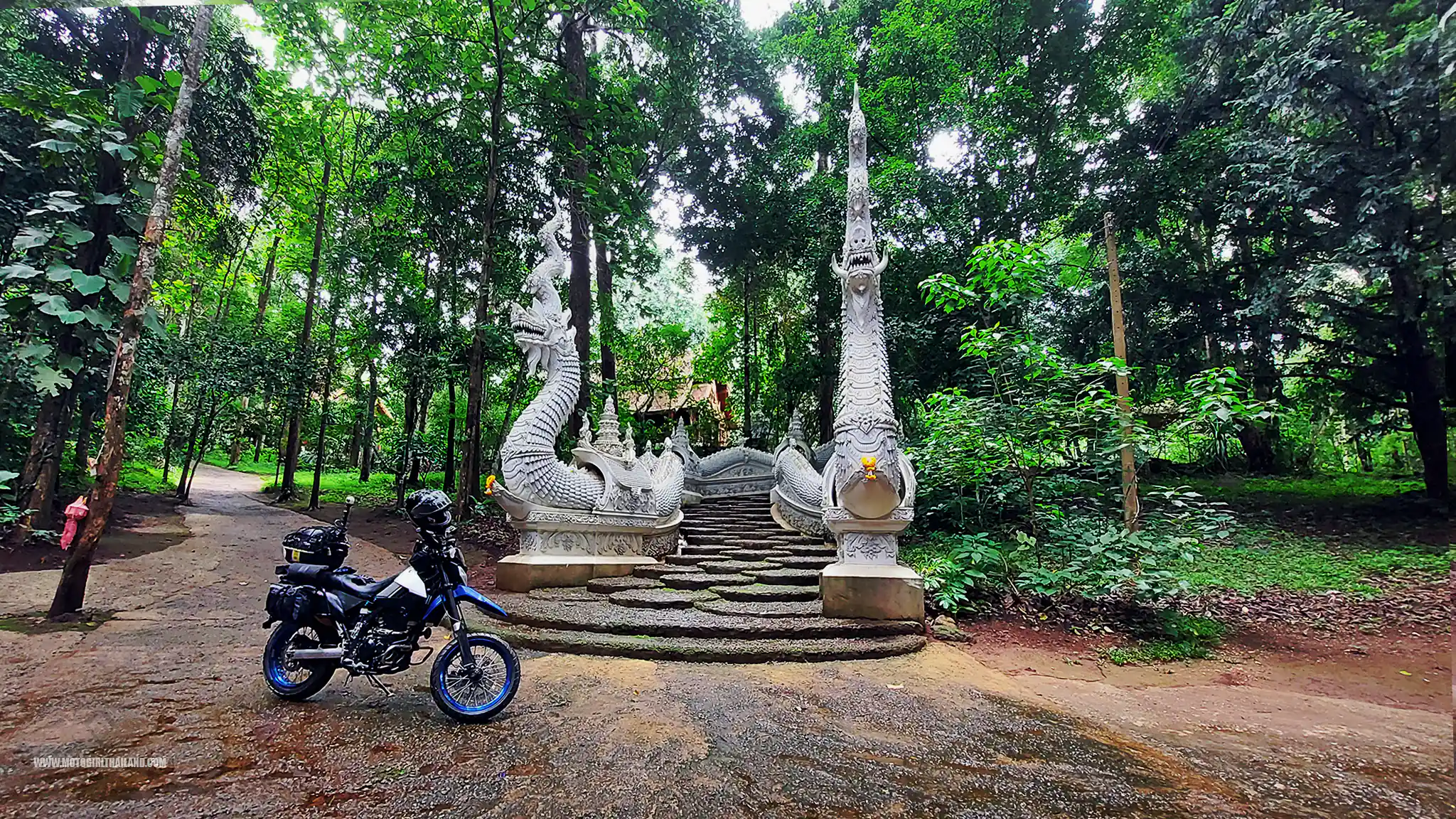 Forest Temple