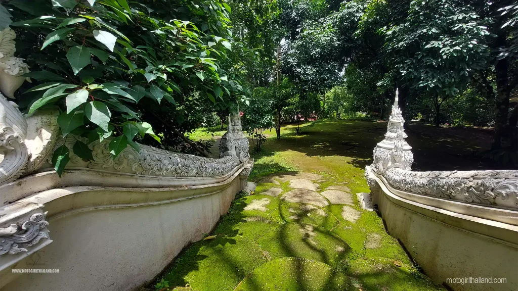 Forest Temple