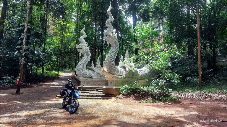 Forest Temple