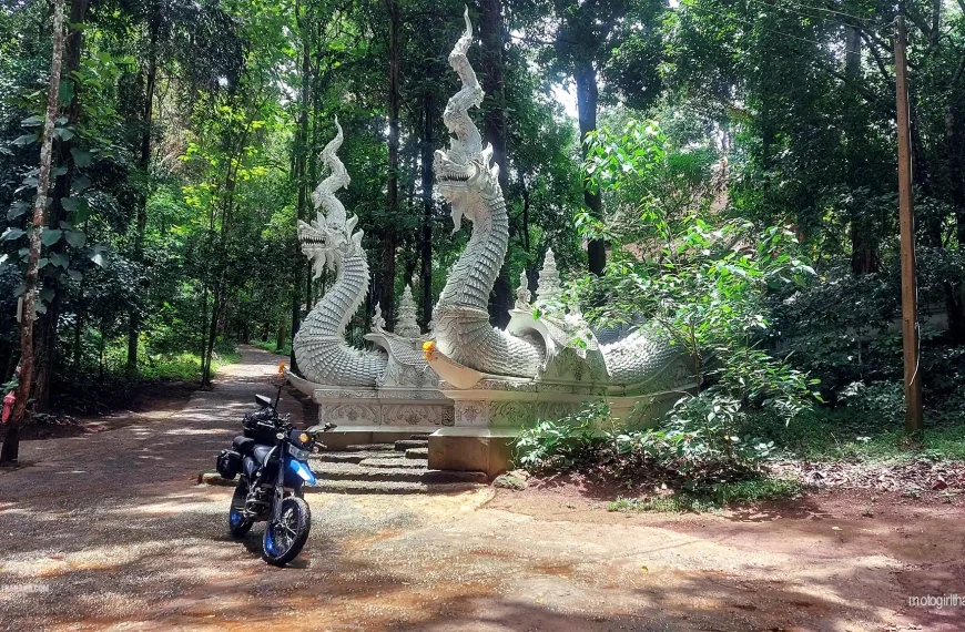 Forest Temple
