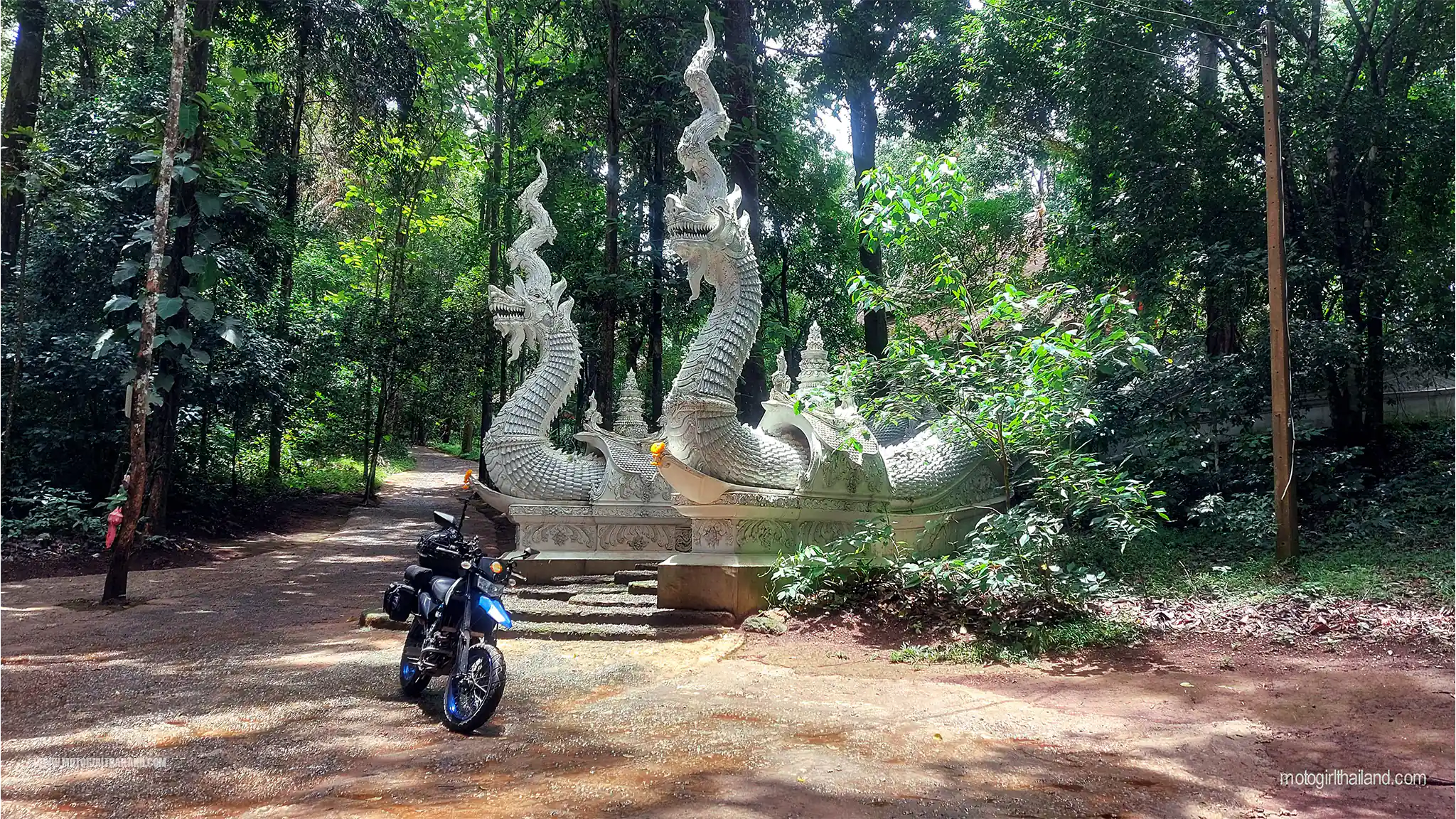 Forest Temple